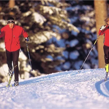 Modern In Near Cross-country Skiing Obertraun